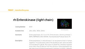 rh Enterokinase